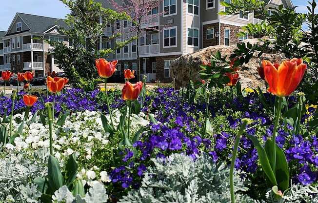 a garden with flowers and houses in the background