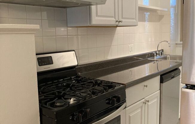 Recently Renovated East Rogers Park One Bedroom - Pets Welcome!