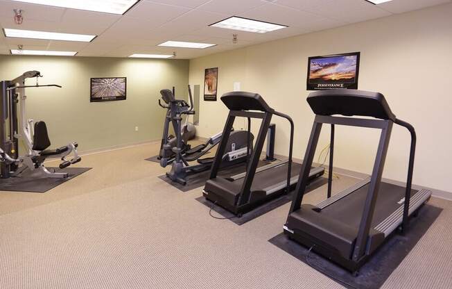 A gym with treadmills, elliptical machines, and other exercise equipment.