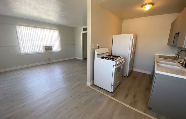 SPACIOUS 1 BED 1 BATH 540 SQ FT APARTMENT SUPER CLOSE TO THE STRIP AND NORTH PREMIUM OUTLETS MALL, NEAR MANY RESTURANTS AND GROCERY STORES