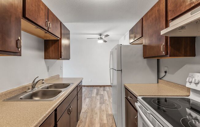 1 bed, 1 bath, 675 sqft, $1,095, Unit 319