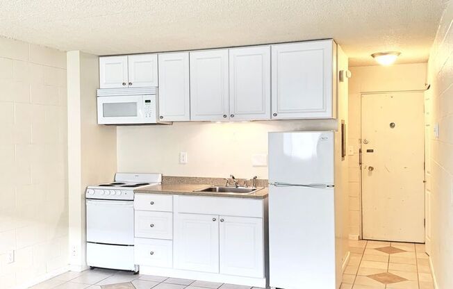 Studio, 1 bath, 302 sqft, $1,100, Unit 104