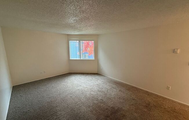 2 beds, 1 bath, 825 sqft, $1,245, Unit 479