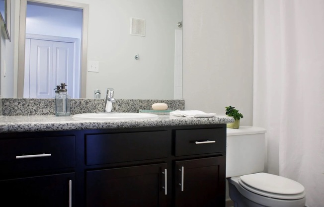 Bathroom | Trailpoint Apartments at The Woodlands