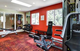 a home gym with red walls and windows
