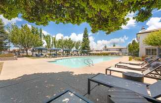 Our pool deck is lined with lounge chairs and surrounded by lush trees, offering shade, comfort, and scenic views—just steps from the clubhouse and leasing office at Ascent at the Galleria.