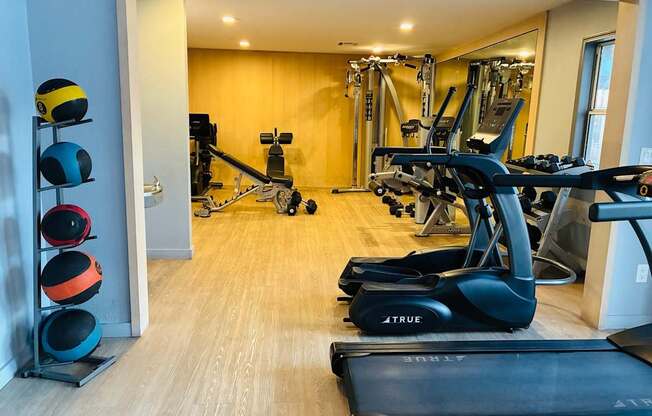 A gym with a variety of equipment including a treadmill, weights, and exercise machines.