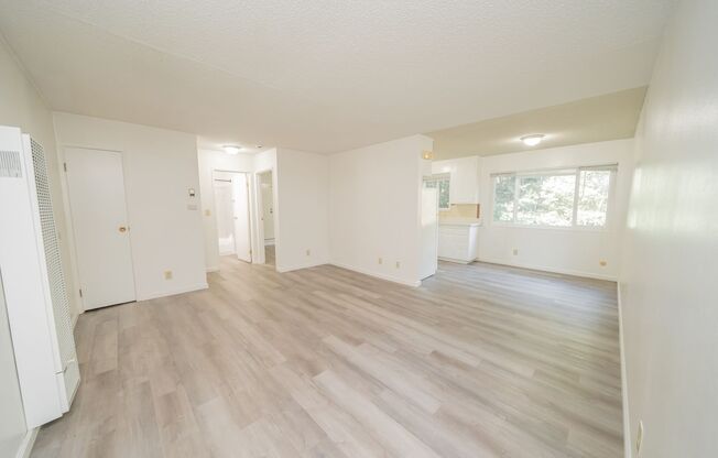 3667 Dimond - Adalie