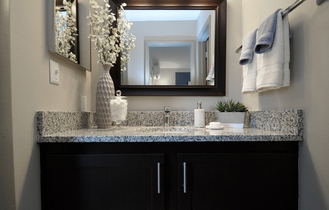 Bathroom + Granite Counters