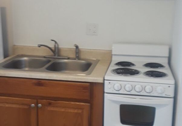 1 bed, 1 bath, 500 sqft, $1,050