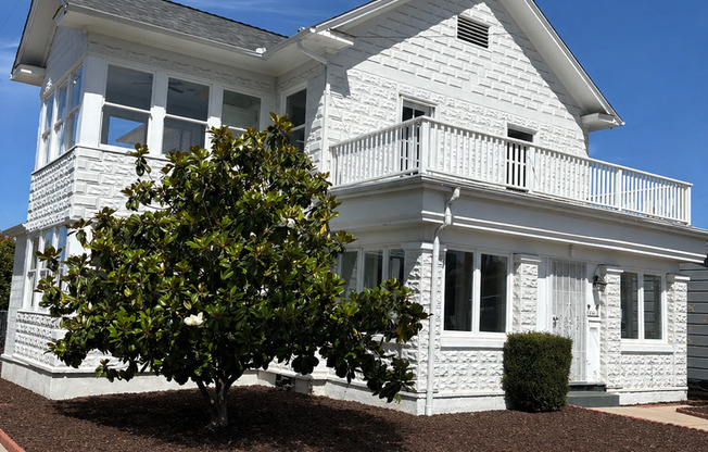 PALM AVENUE 4874-4876