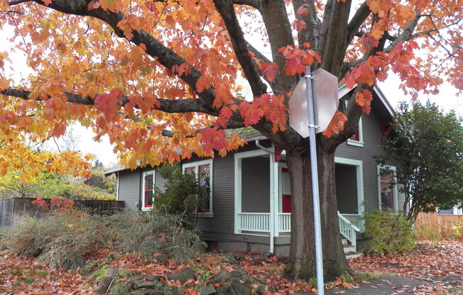 Beautiful Cottage in the Hollywood District!  rentalsc21.com