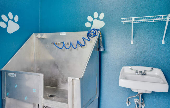 Pet Wash Station