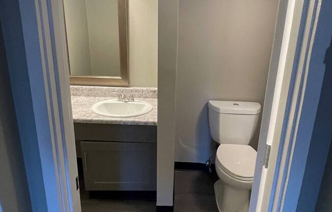 Upgraded Bathroom with gray cabinetry, luxury vinyl plank flooring, new lighting, mirror and brushed nickel fixtures