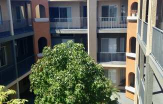 View From Balcony at 11919 Culver Blvd., Los Angeles, 90066