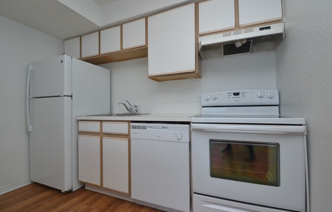 1 bed, 1 bath, $1,195