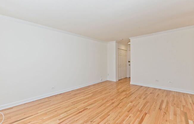 Studio, 1 bath, $1,195, Unit 204