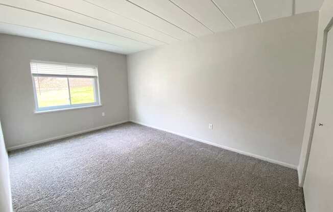 A room with a carpeted floor and a window.