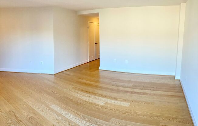 Studio, 1 bath, 440 sqft, $2,500, Unit 0816