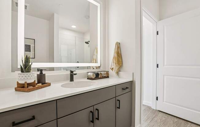 A bathroom with a white sink and grey cabinets.