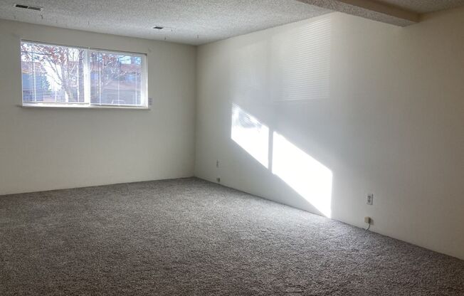 Lovely 2BR/1BA with large kitchen! Laundry/parking on site!