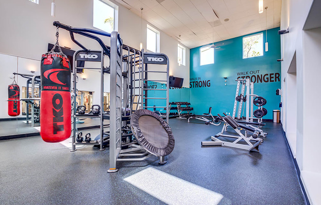 Gym with strength equipment