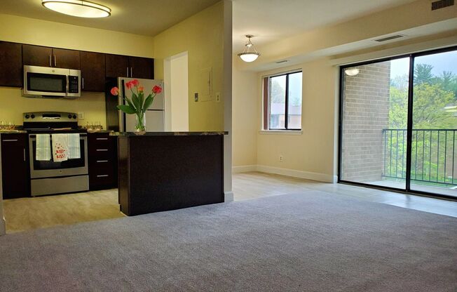 2 beds, 2 baths, 1,000 sqft, $2,100, Unit 14207 #203