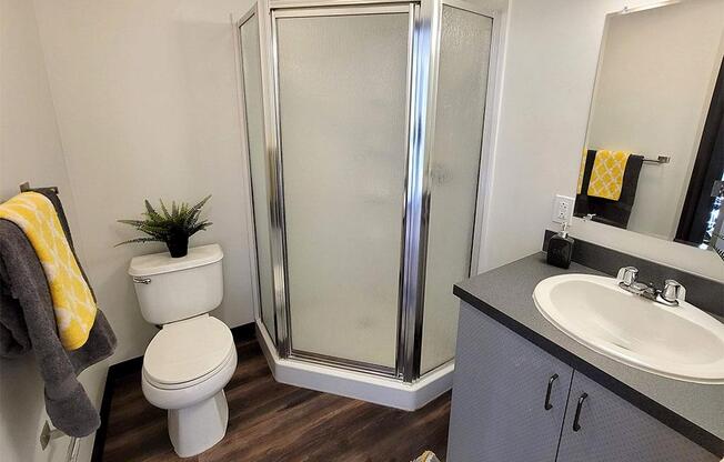 a bathroom with a shower toilet and sink