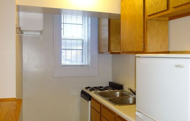 1 bed, 1 bath, 460 sqft, $925, Unit A1