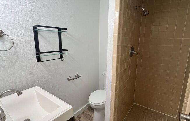 Studio, 1 bath, 390 sqft, $1,150, Unit 206