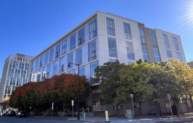 1 bed, 1.5 baths, 817 sqft, $3,800, Unit 702