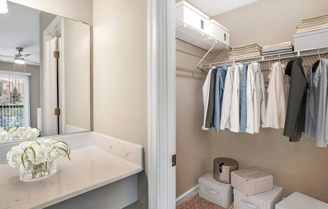 A virtually staged walk-in closet with gray walls and white trim. The closet is staged with a variety of clothing, white boxes, and linens. A marble countertop vanity area with mounted mirror is located just outside of the closet.