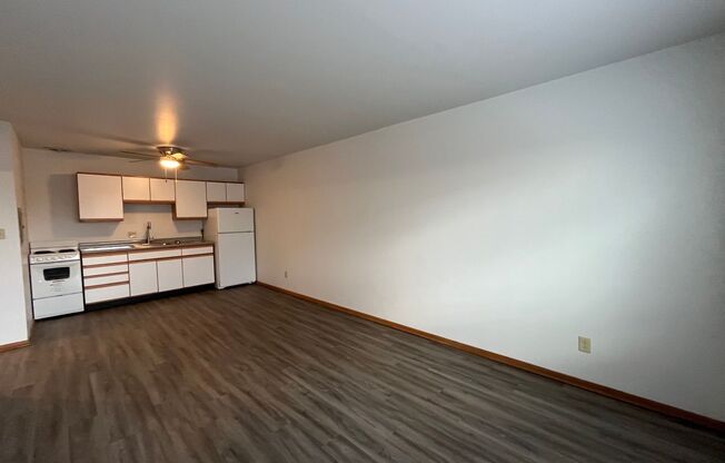 1 bed, 1 bath, 500 sqft, $949.99, Unit 2827-116