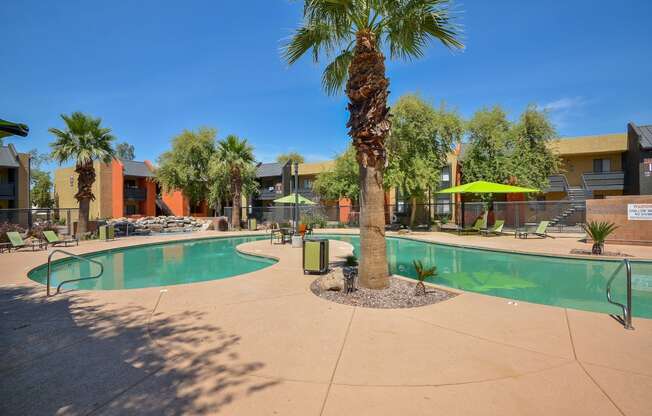 Pool outside of Onnix Apartments in Tempe, AZ with palm trees and space for lounging