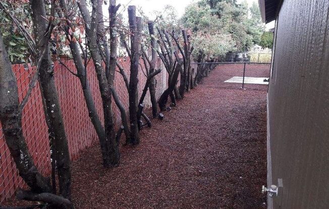 UPDATED Single Family Home!