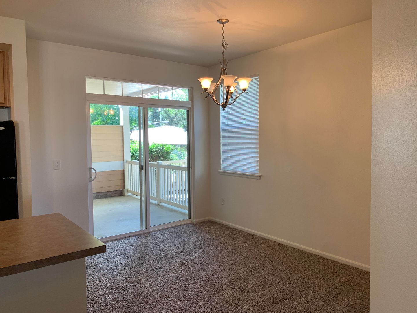 1977 Grays Peak Drive #102