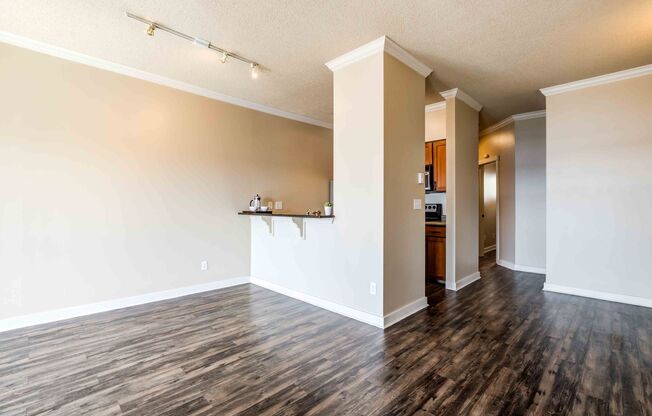 1 bed, 1 bath, 423 sqft, $1,699, Unit 705