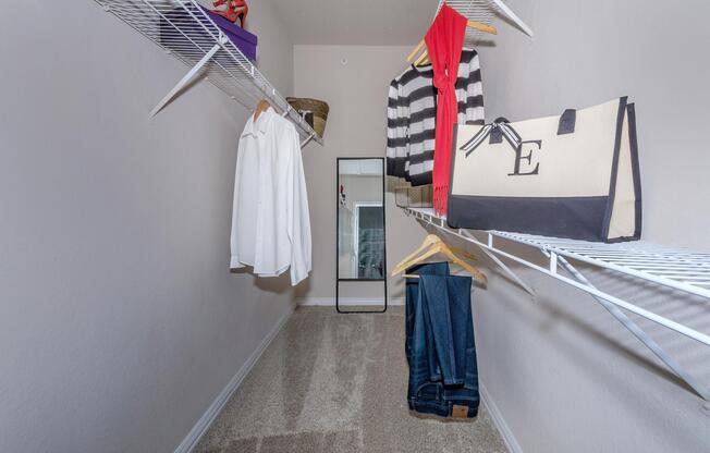 carpeted walk-in closet