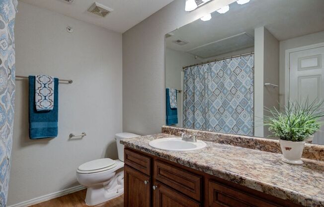 a bathroom with a sink toilet and a mirror