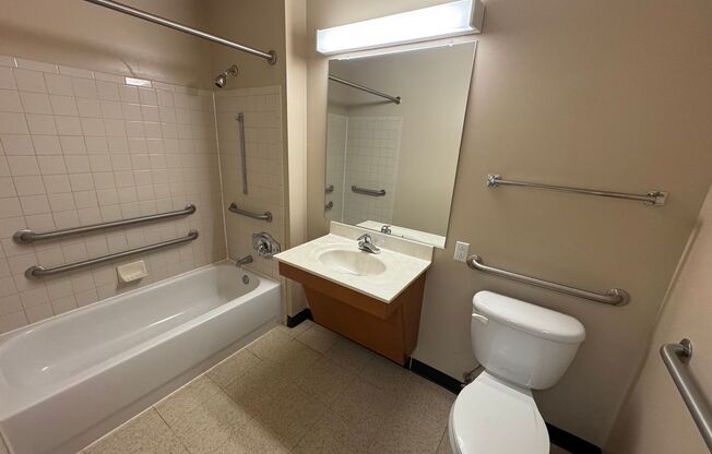 2 beds, 2 baths, $1,358, Unit T701 - B