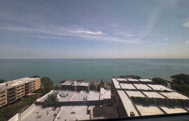 2 beds, 1 bath, 1,000 sqft, $2,300, Unit 1303