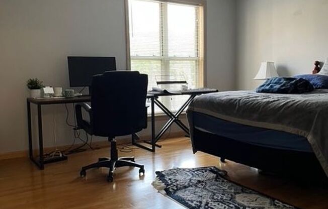 1 bed, 1 bath, 725 sqft, $1,725, Unit 5202-206