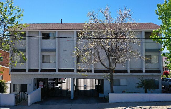 10237 Tujunga Canyon Blvd