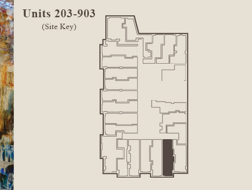1 bed, 1 bath, $2,600, Unit 203