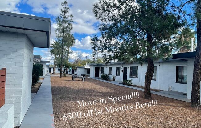 Centrally Located Community in Tucson's Historic Blenman-Elm Neighborhood!