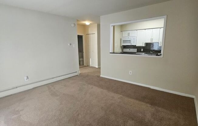 1 bed, 1 bath, 550 sqft, $1,250, Unit B307