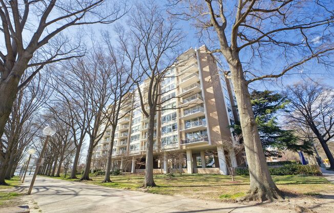 Stunning 1 BR/1 BA Condo in Southwest Waterfront!