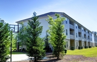 1 bed, 1 bath, $1,199, Unit 301