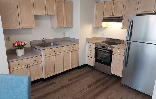 1 bed, 1 bath, 500 sqft, $1,600, Unit 307