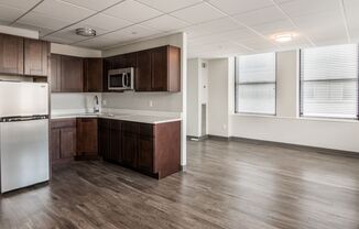 Park Plaza on the Grid